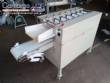 Linha para fabrica��o de massa de pastel 150 kg