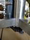 Mesa classificat�ria acumuladora girat�ria em a�o inox 1100 mm