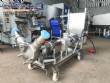 Bomba senoidal positiva inox 316 L MasoSine Certa Watson Marlow ano 2020