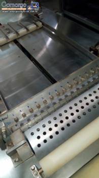 Linha para fabricação biscoito wafer Haas
