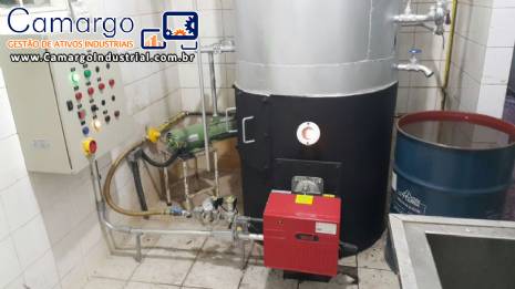 Caldeira a gás para 250 kg hora