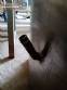 Tanque misturador com agita��o em inox 2.000 kg isolado Inoxil